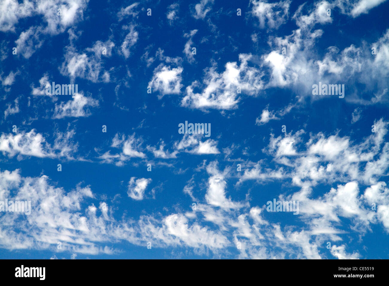 Cirruswolken am blauen Himmel. Stockfoto