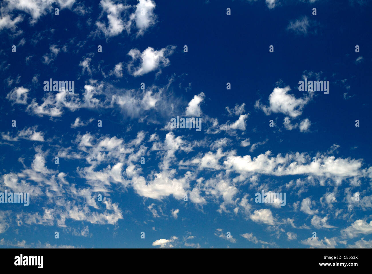 Cirruswolken am blauen Himmel. Stockfoto