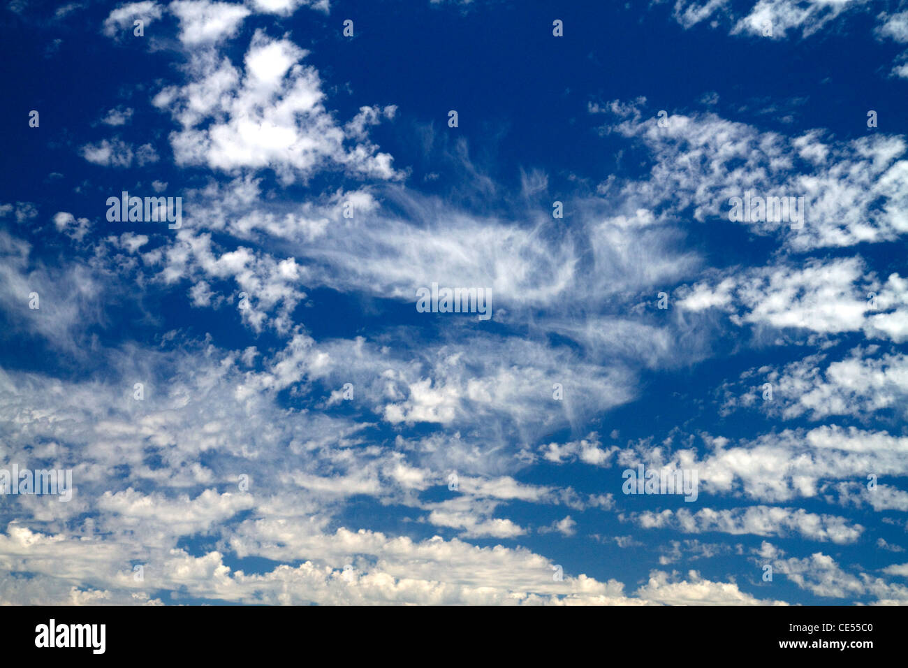 Cirruswolken am blauen Himmel. Stockfoto