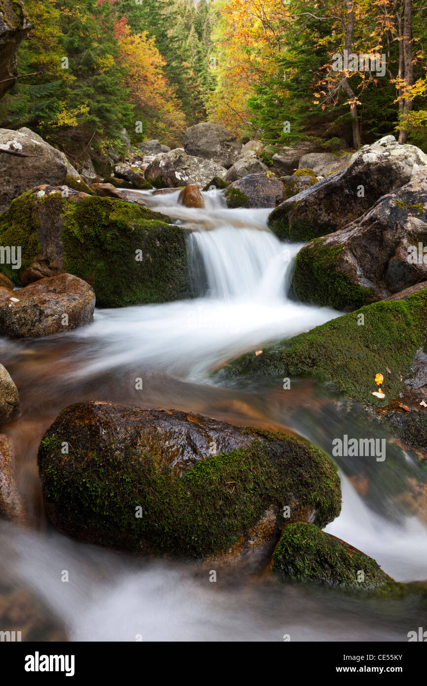 Felsbrocken übersäte Gebirgsbach in der hohen Tatra, Slowakei, Europa. Herbst (Oktober) 2011. Stockfoto