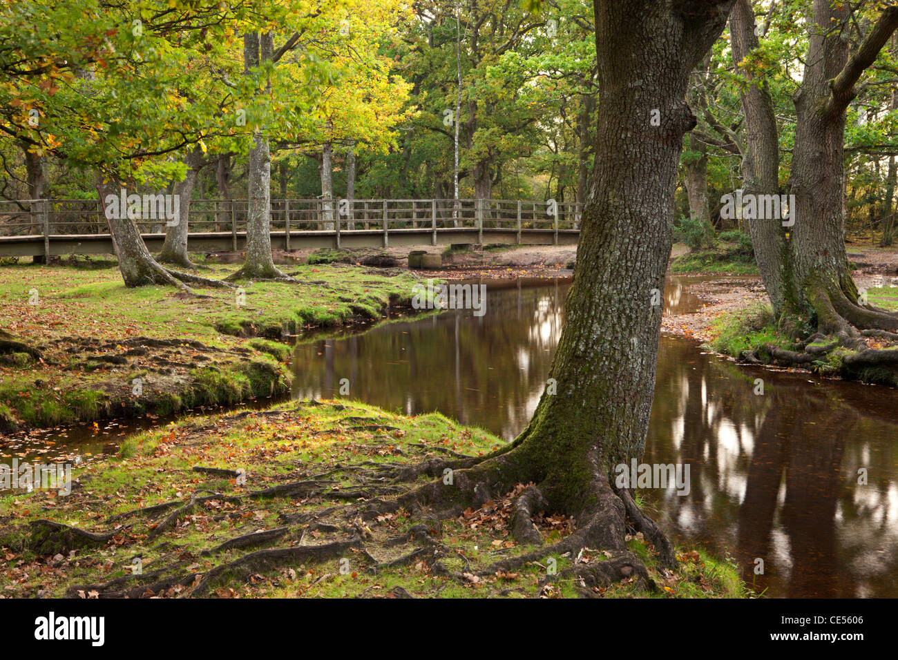 Ober-Wasser fließt durch herbstliche Bäume an der Puttles Brücke, New Forest, Hampshire, England. Herbst (Oktober) 2011. Stockfoto