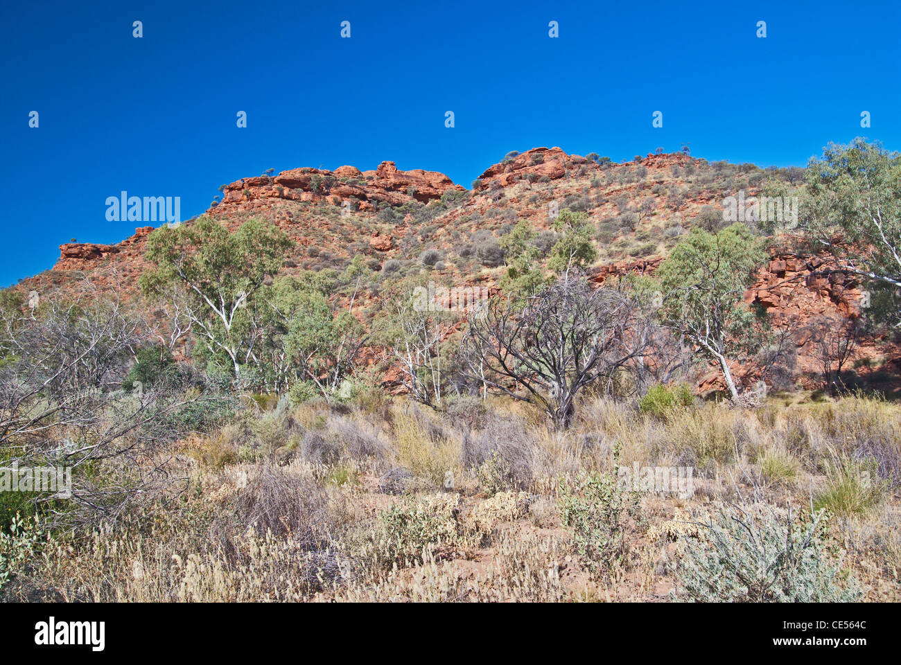 KINGS CANYON, WATARRKA NATIONAL PARK, NORTHERN TERRITORY, NT, AUSTRALIEN, OUTBACK Stockfoto