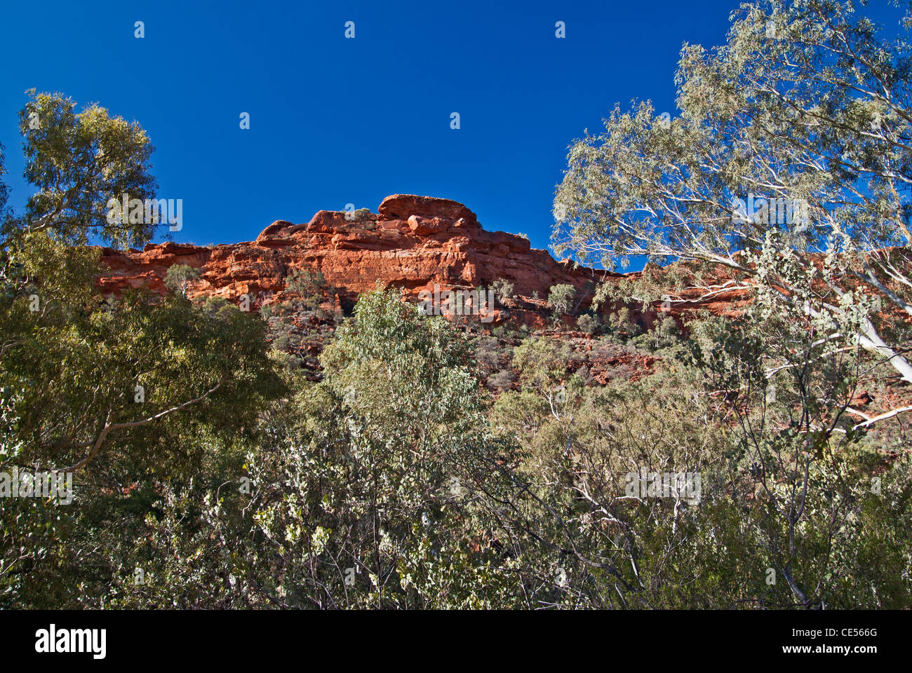 KINGS CANYON, WATARRKA NATIONAL PARK, NORTHERN TERRITORY, NT, AUSTRALIEN Stockfoto