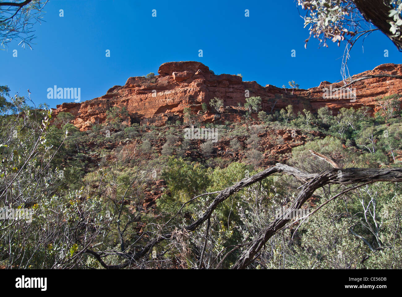 KINGS CANYON, WATARRKA NATIONAL PARK, NORTHERN TERRITORY, NT, AUSTRALIEN Stockfoto