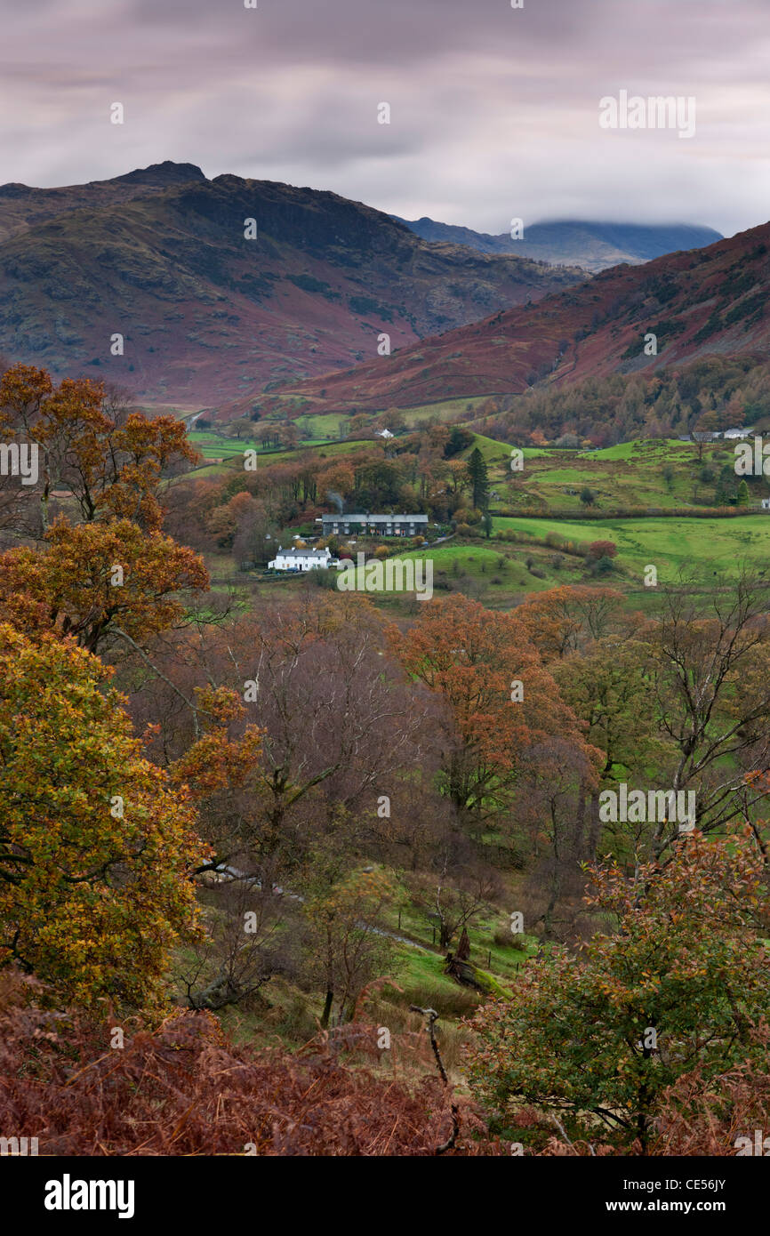 Ferienhäuser in kleinen Langdale Valley, Lake District, Cumbria, England. Herbst (November) 2011. Stockfoto