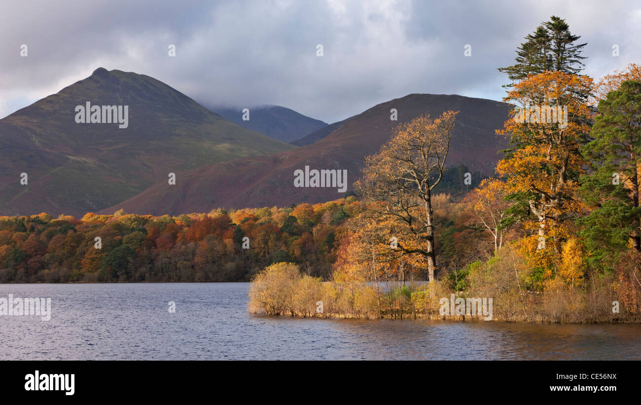 Herbstlaub am Ufer des Derwent Water, Keswick, Lake District, Cumbria, England. Herbst (November) 2011. Stockfoto