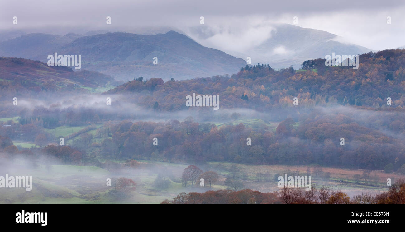 Nebel lauert im Brathay Tal in der Nähe von Elterwater, Nationalpark Lake District, Cumbria, England. Herbst (November) 2011. Stockfoto