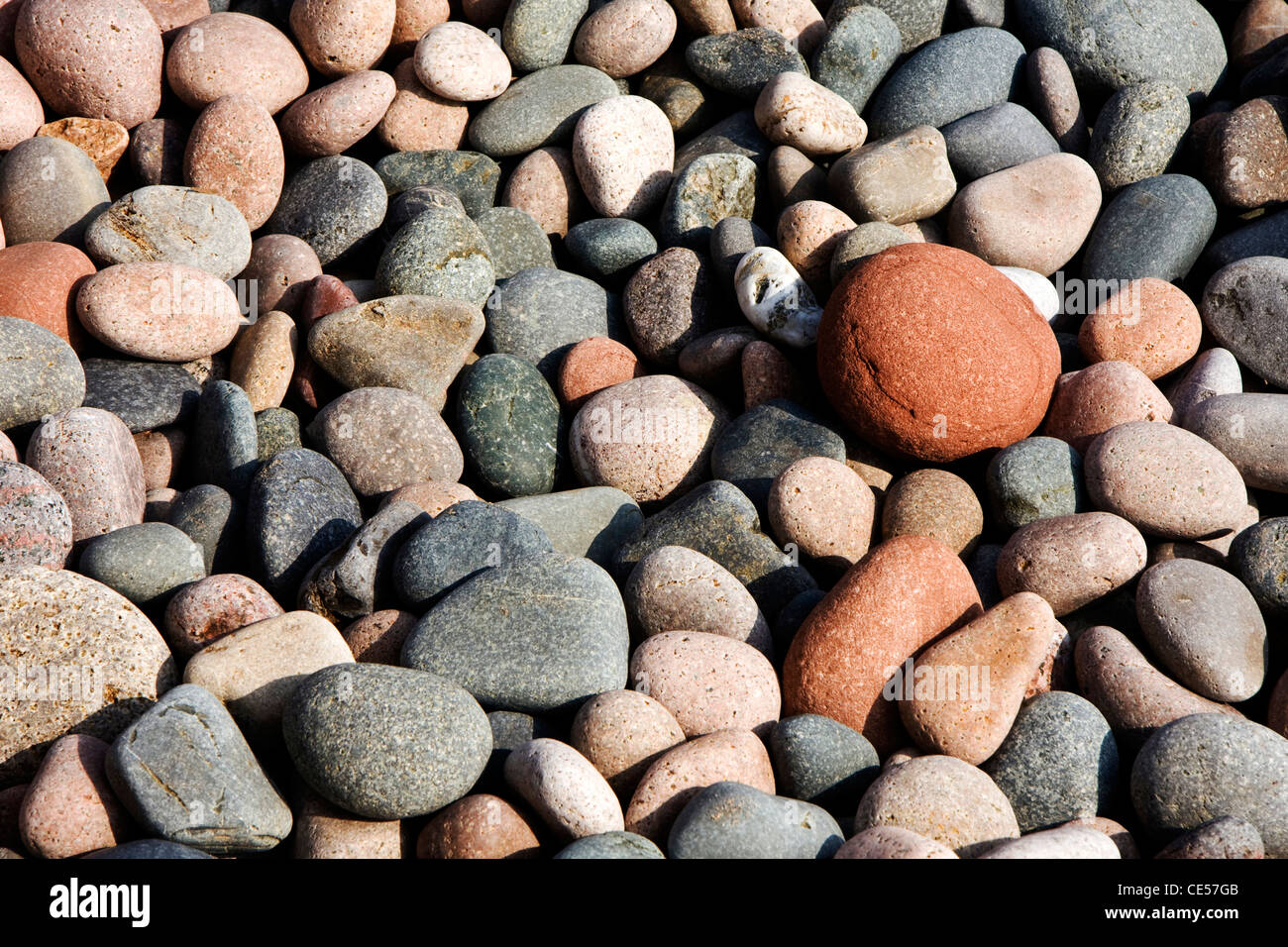 Steinen und Kieseln am Strand Stockfoto