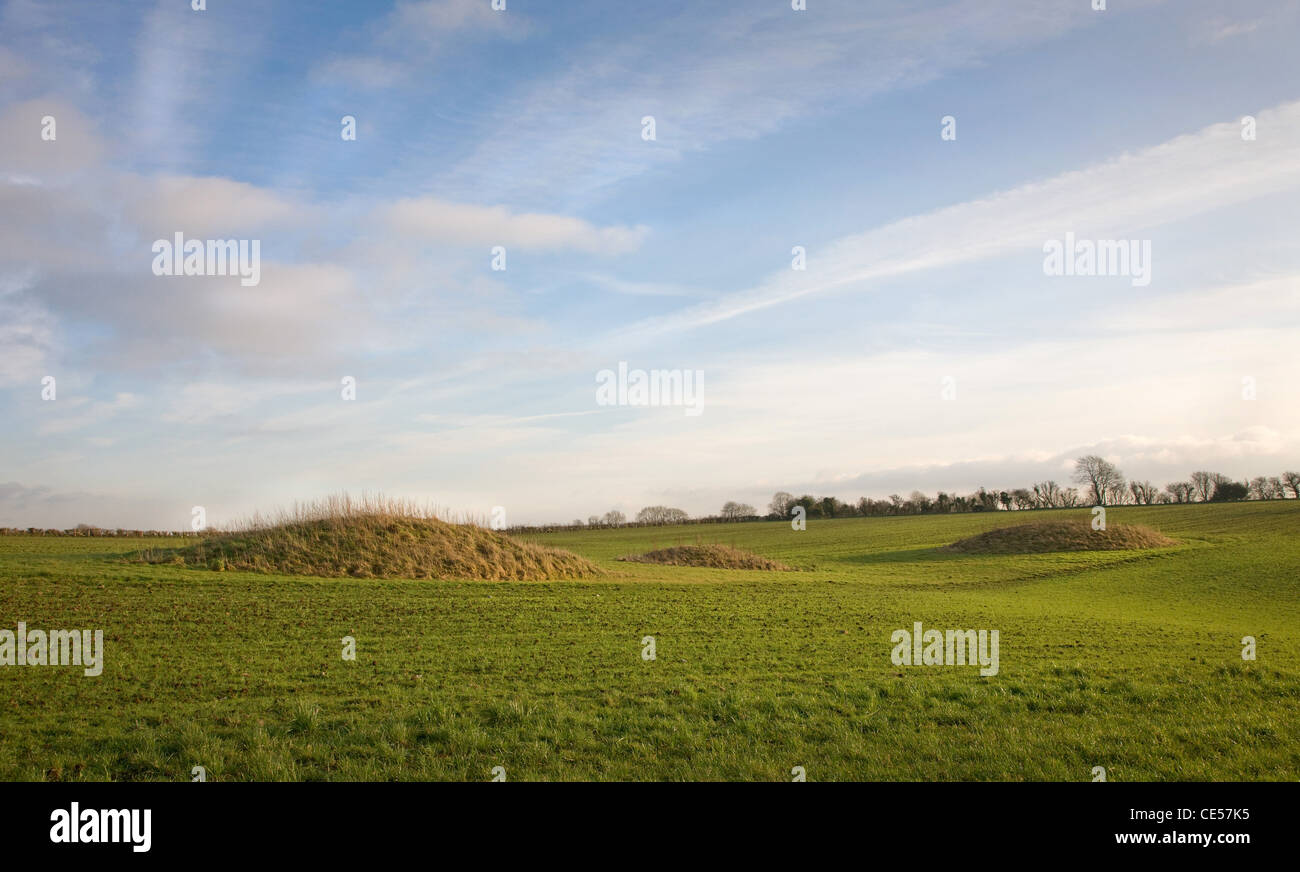 Drei Grabhügel der Bronzezeit Karren oder Grabhügel in der Nähe von Tynings Farm auf die Mendips in Somerset UK Stockfoto