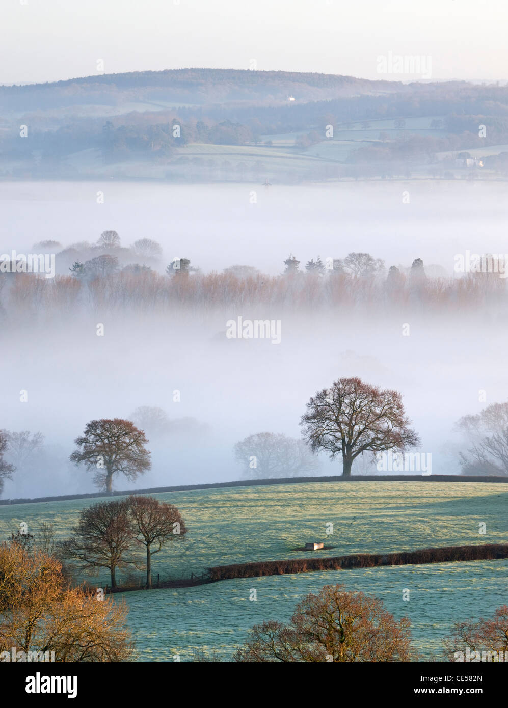 Nebel bedeckte Landschaft in das Exe-Tal nördlich von Exeter, Devon, England. Winter (Januar) 2012. Stockfoto
