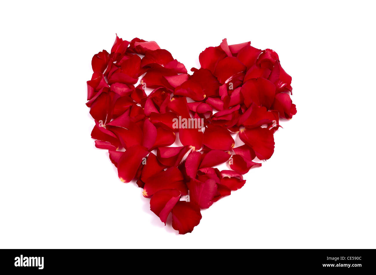 Rosenblüten, angeordnet in der Form eines Herzens, Valentinstag Stockfoto