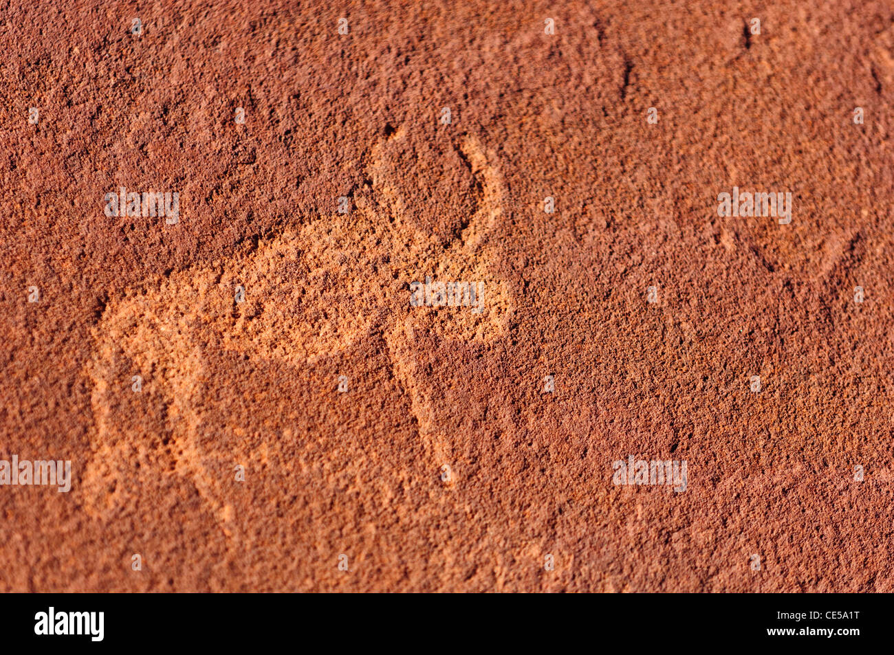 Alten Felsgravuren von Twyfelfontein, Namibia. Stockfoto