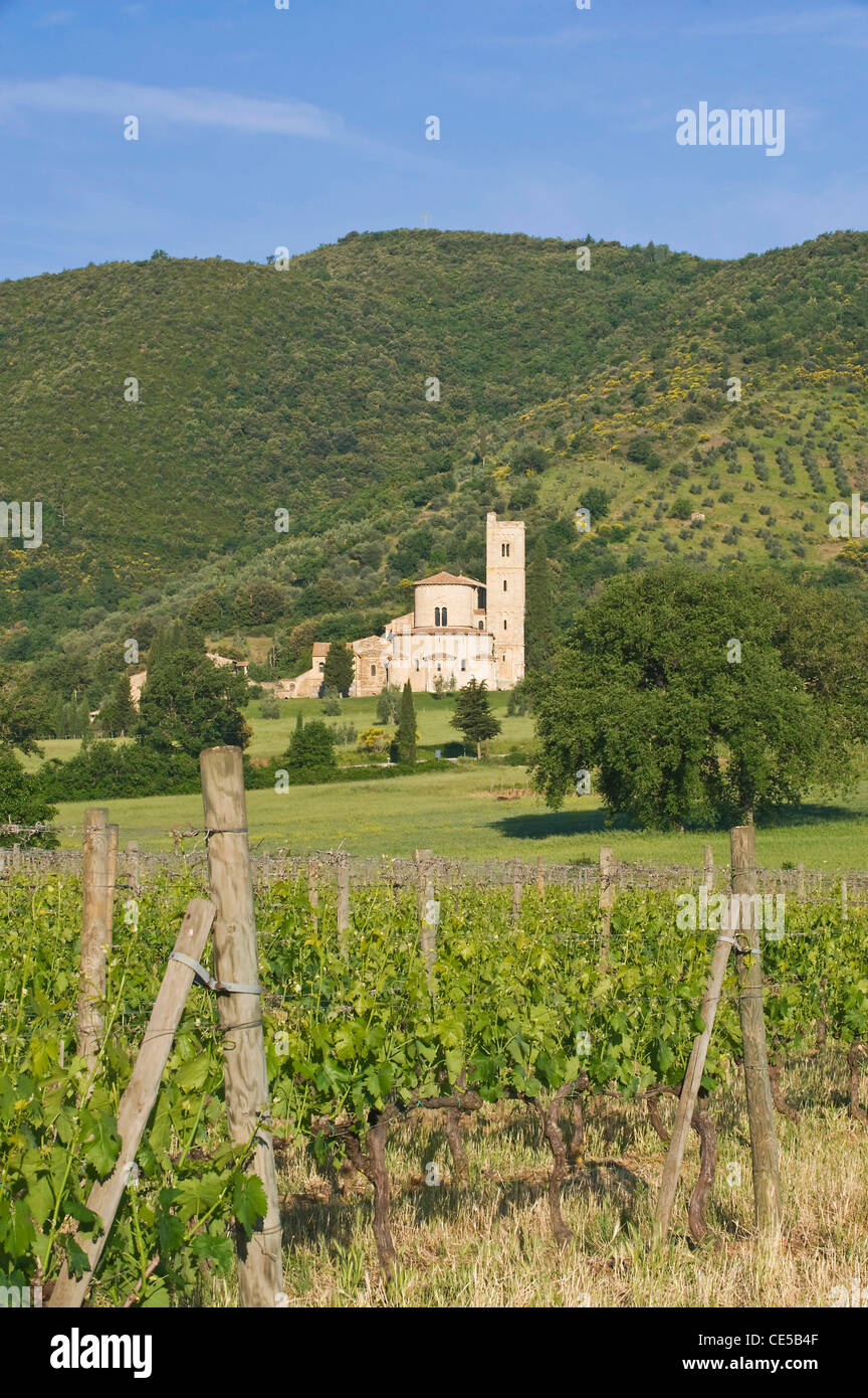 Europa, Italien, Toskana, Montalcino, Abbazia di Sant'Antimo (St. Antimo Abbey) romanische Abtei im 12. Cenury Stockfoto