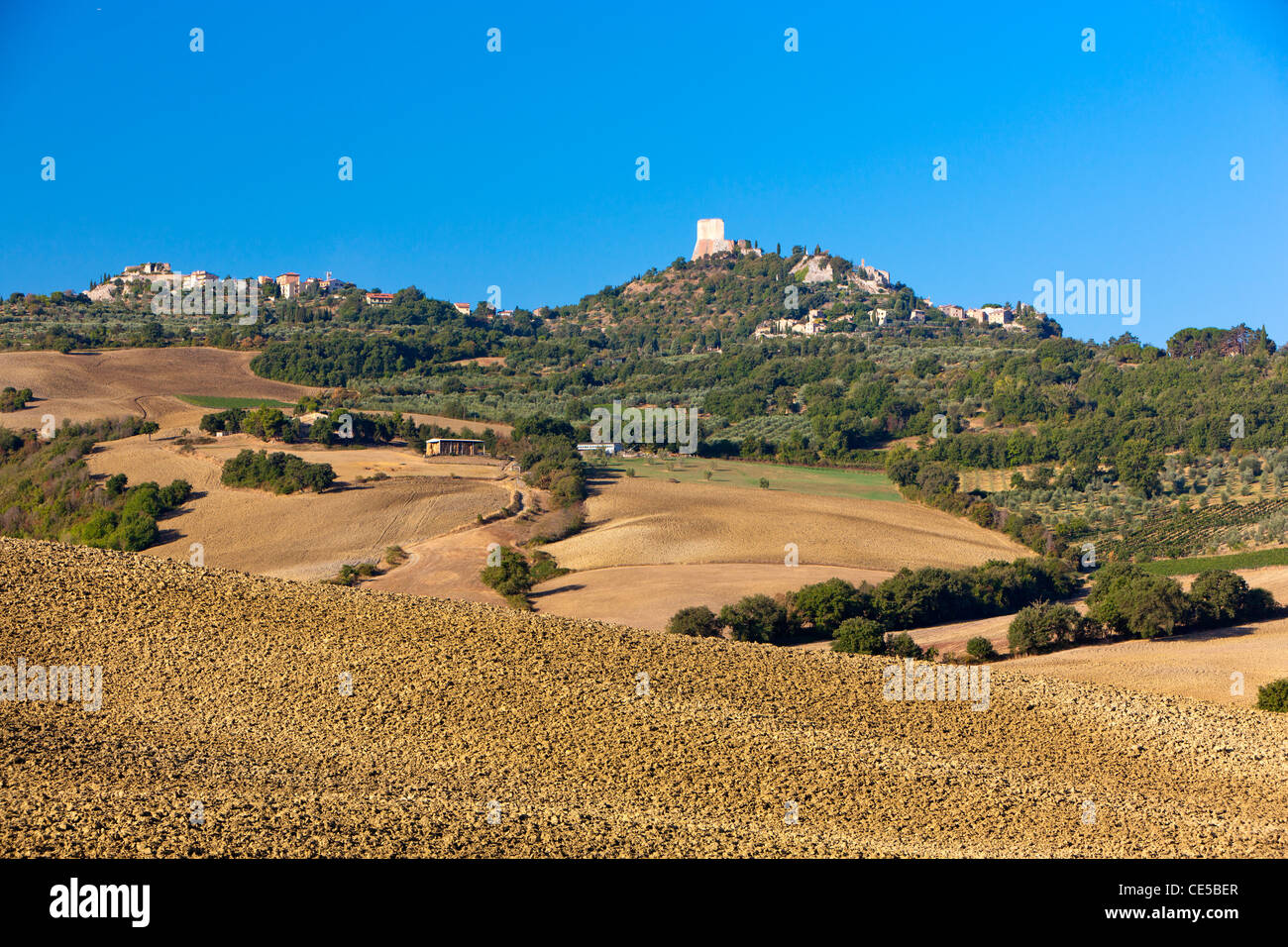 Hügelige Landschaft in der Nähe von Bagno Vignoni mit der Rocca d ' Orcia (Rocca di Tentennano) im Hintergrund, Val d ' Orcia Stockfoto