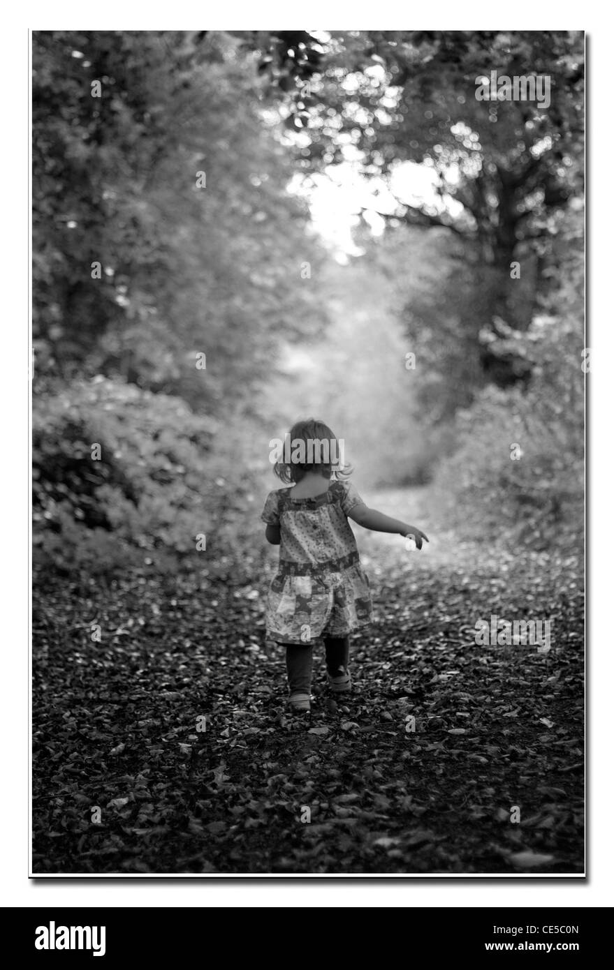 Lucy walking im Wald Stockfoto