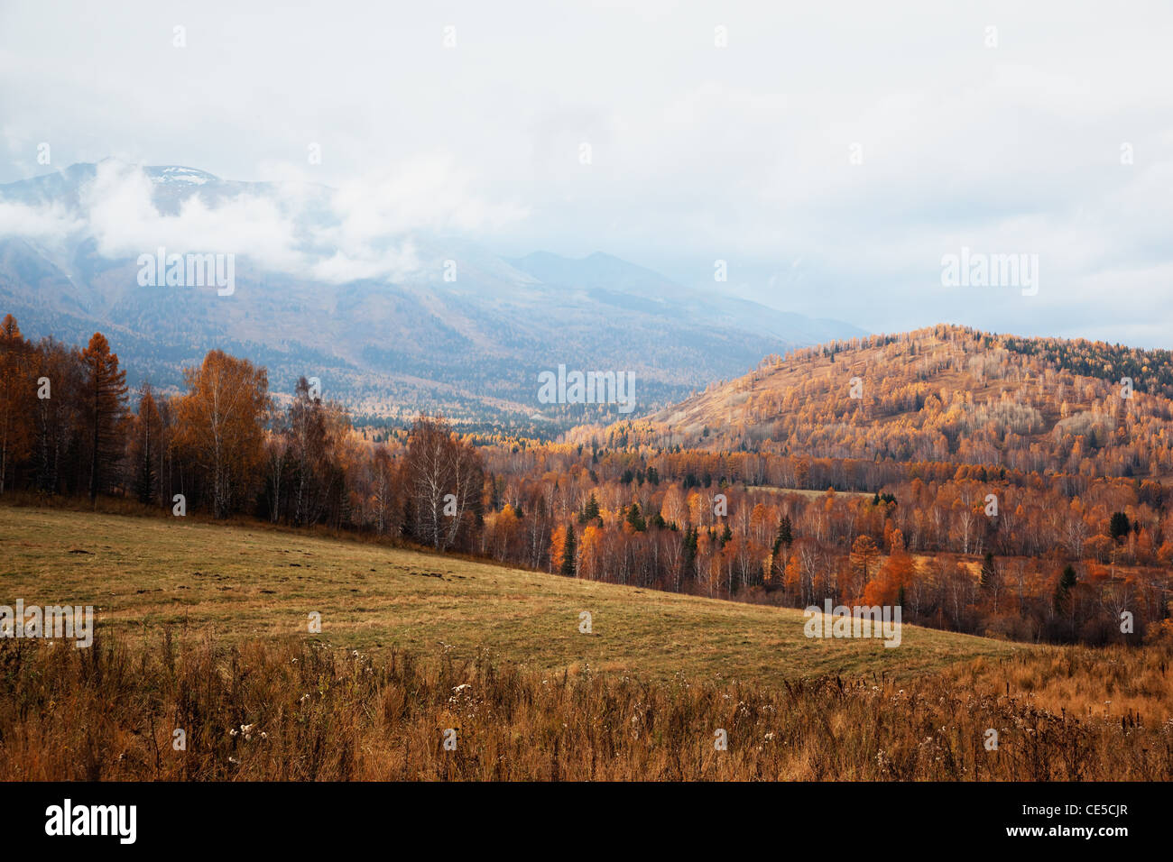 Herbstlandschaft in Bergen nach Regen Stockfoto