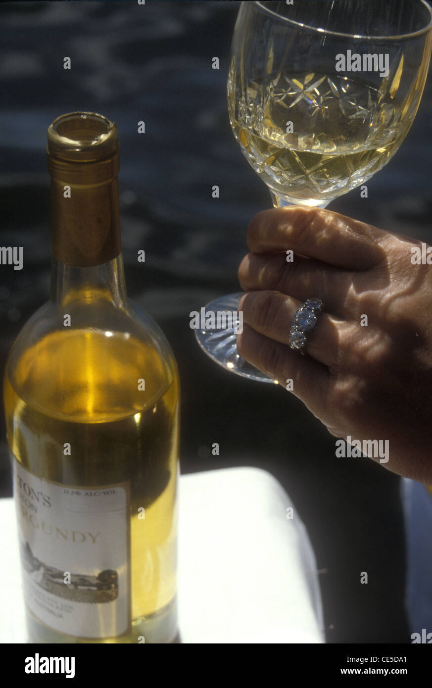 Eine Frau die Hand hält ein Glas Burgunder Weißwein, New South Wales Australien Stockfoto