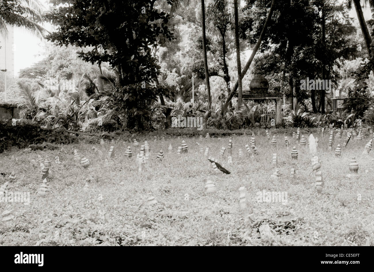 Reisen Fotografie - Kampong Glam Friedhof in Kampong Glam arabischen Viertel in Singapur in Südostasien im Fernen Osten. Stockfoto