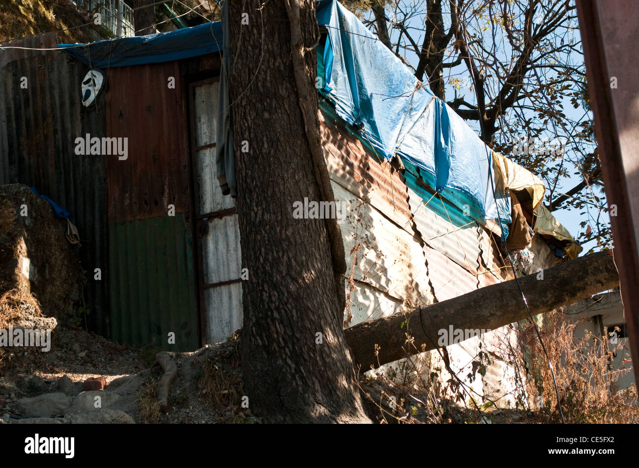 Gewellte Metall Hütte wo Menschen leben, Mussoorie, Uttarakhand, Indien Stockfoto