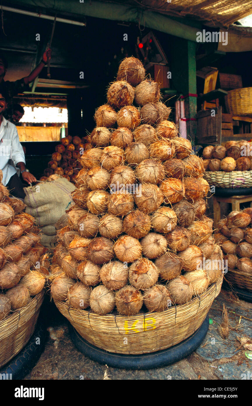 Kokosnüsse in Mysore Markt zu verkaufen; Karnataka; Indien Stockfoto