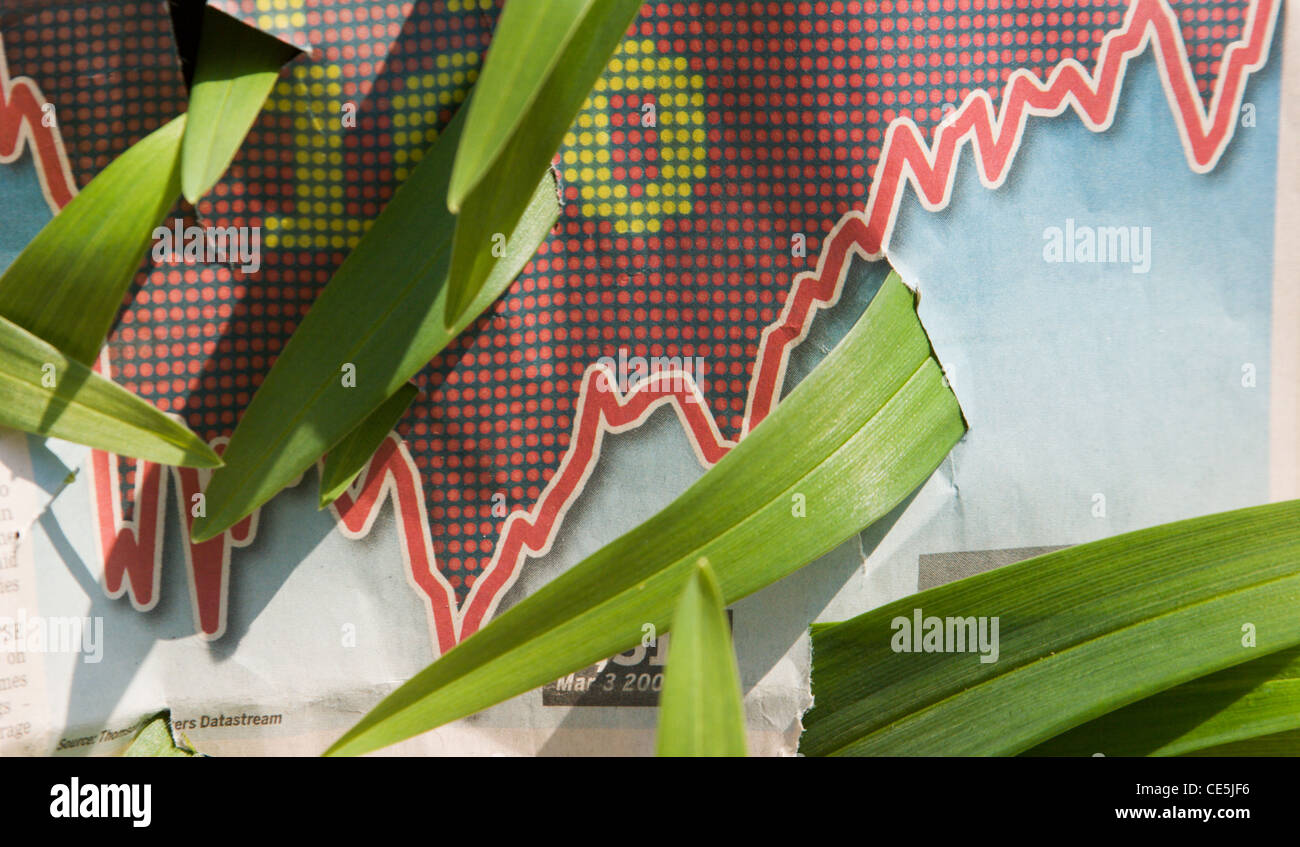 Grüne Triebe des Wirtschaftsaufschwungs Stockfoto