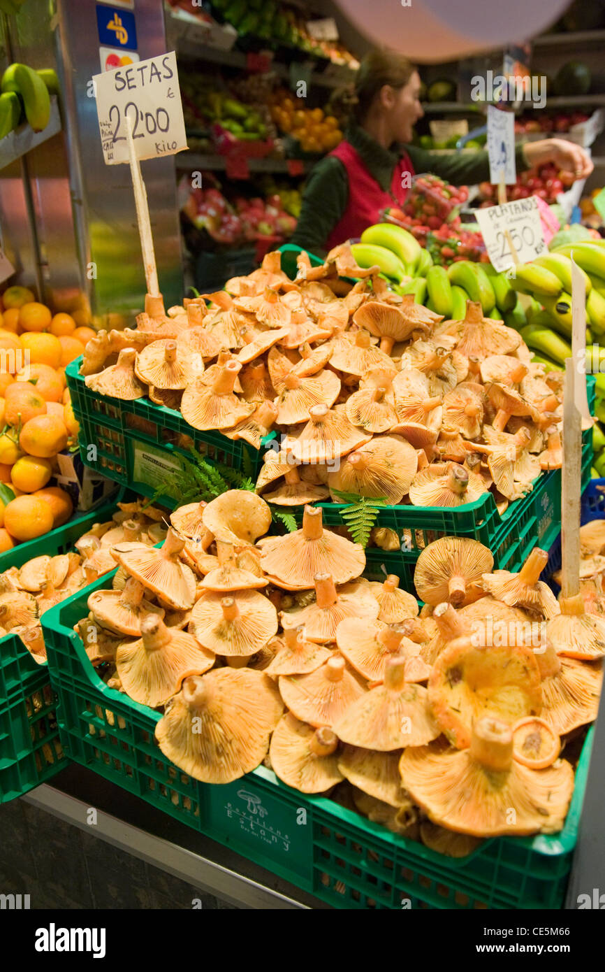 Spanien Spanien Balearen Balearen Mallorca Mallorca Palma de Mallorca Mercat olivar Markt Obst Gemüse stall Pilze Anbieter zu ändern, Stockfoto