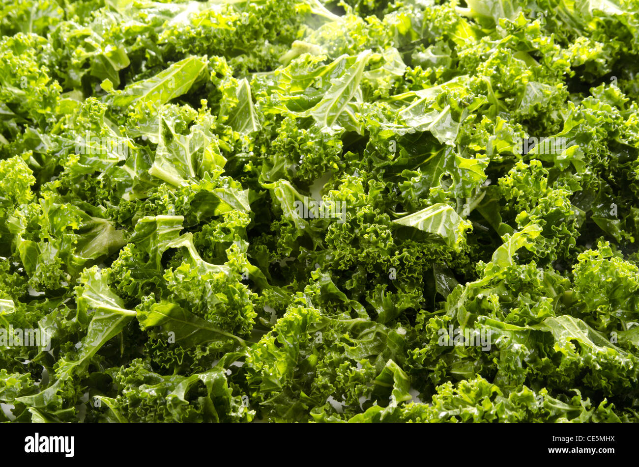 Gewaschene und in Scheiben geschnittenen Grünkohl Stockfoto