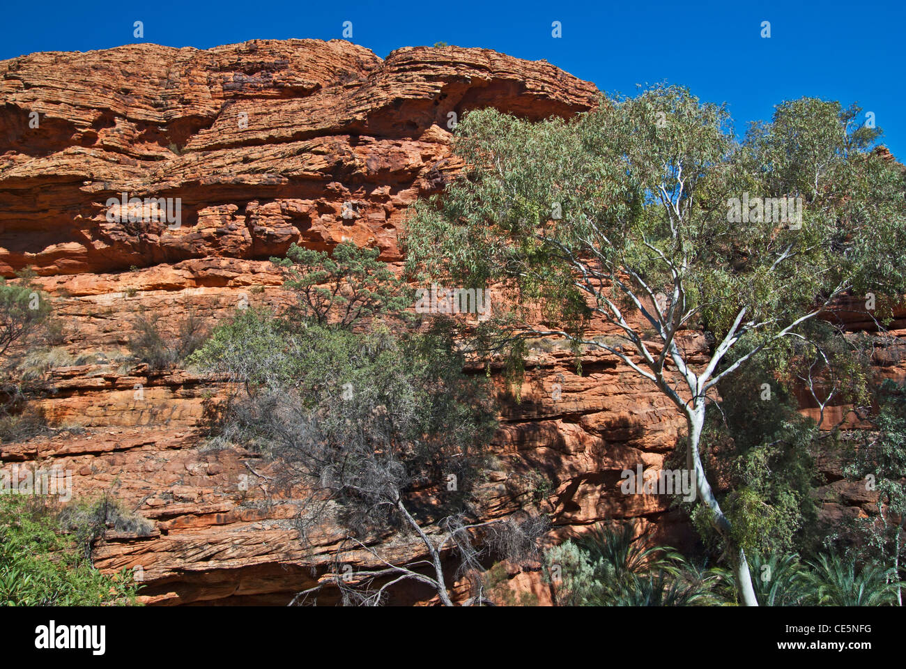 KINGS CANYON, GARTEN EDEN, WATARRKA NATIONAL PARK, NORTHERN TERRITORY, NT, AUSTRALIEN Stockfoto