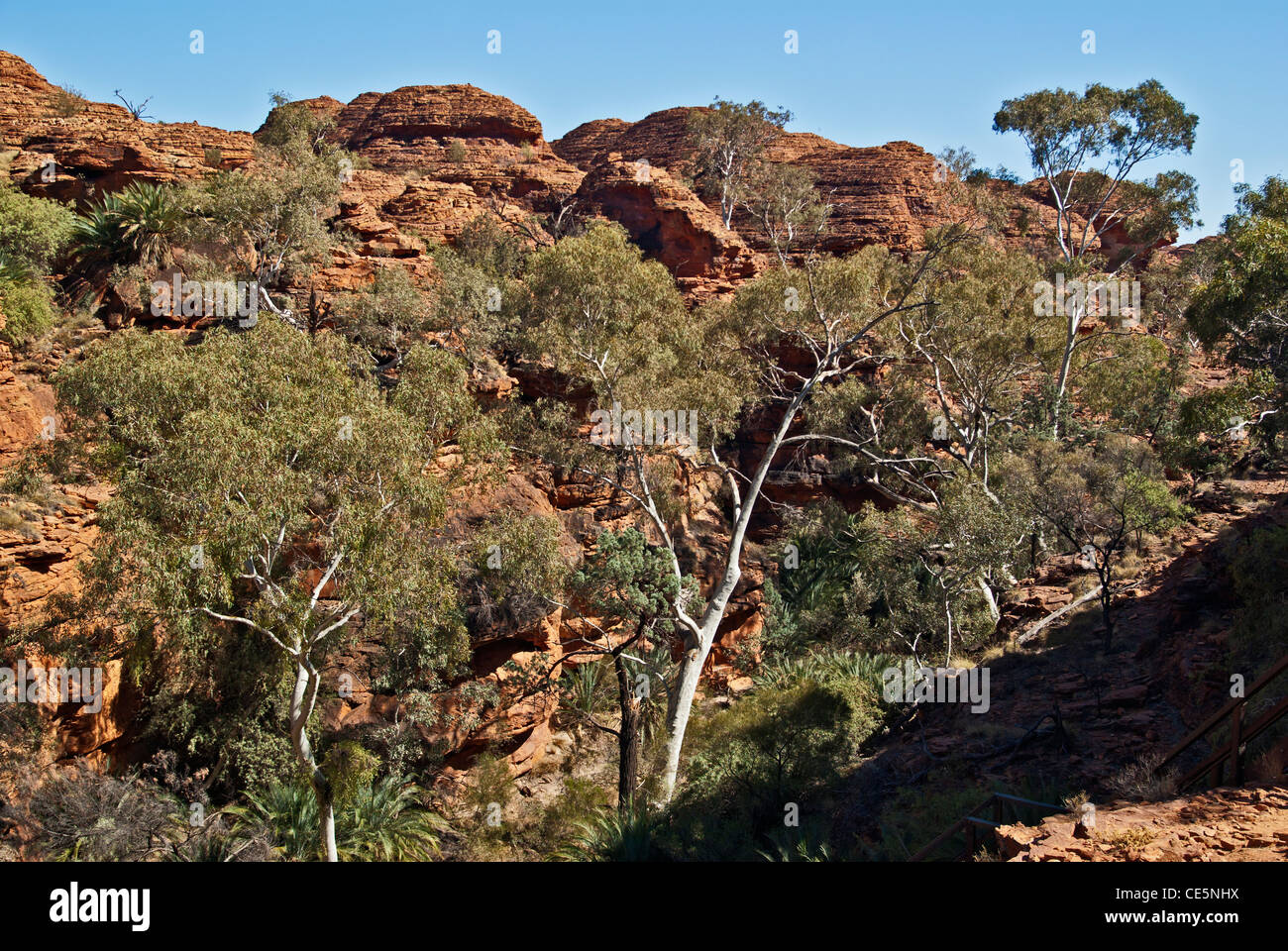 KINGS CANYON, GARTEN EDEN, WATARRKA NATIONAL PARK, NORTHERN TERRITORY, NT, AUSTRALIEN Stockfoto