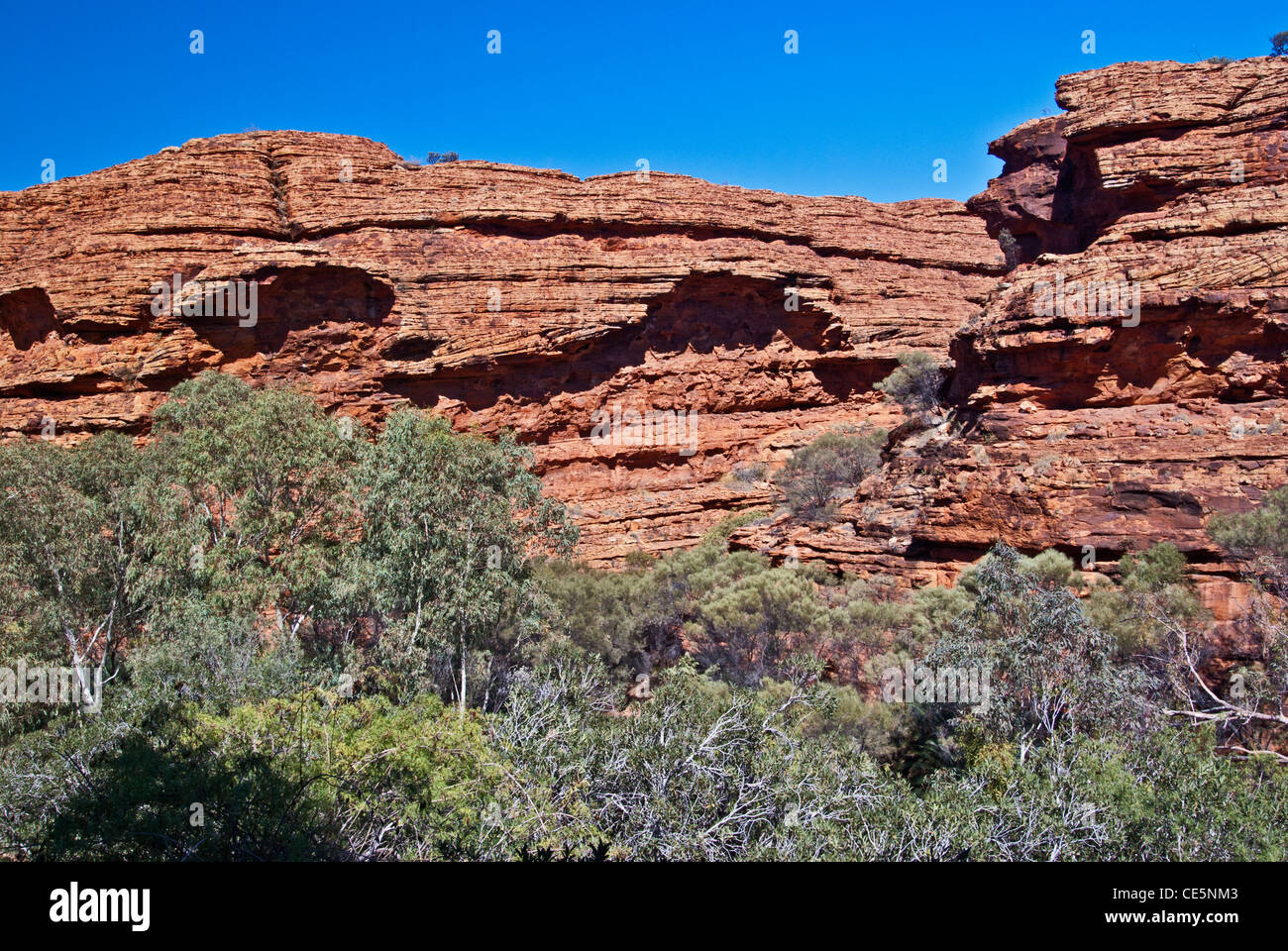 KINGS CANYON, GARTEN EDEN, WATARRKA NATIONAL PARK, NORTHERN TERRITORY, NT, AUSTRALIEN Stockfoto