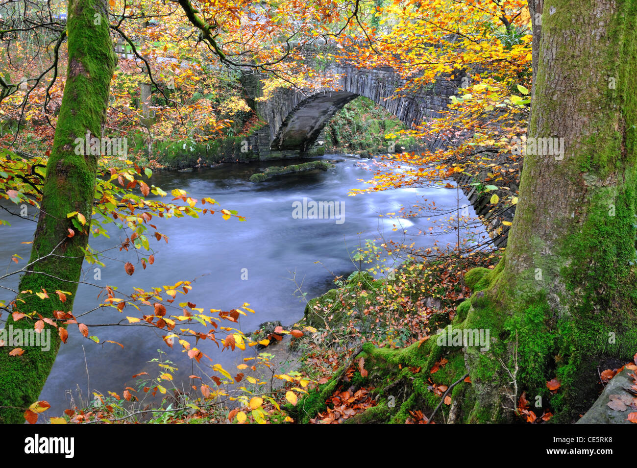 Fluß Brathay im Herbst Stockfoto