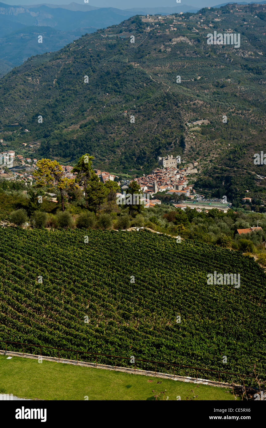Dolceacqua am Fluss Nervia angesehen von Terre Bianche Vineyard Estate in der italienischen Region Ligurien Stockfoto