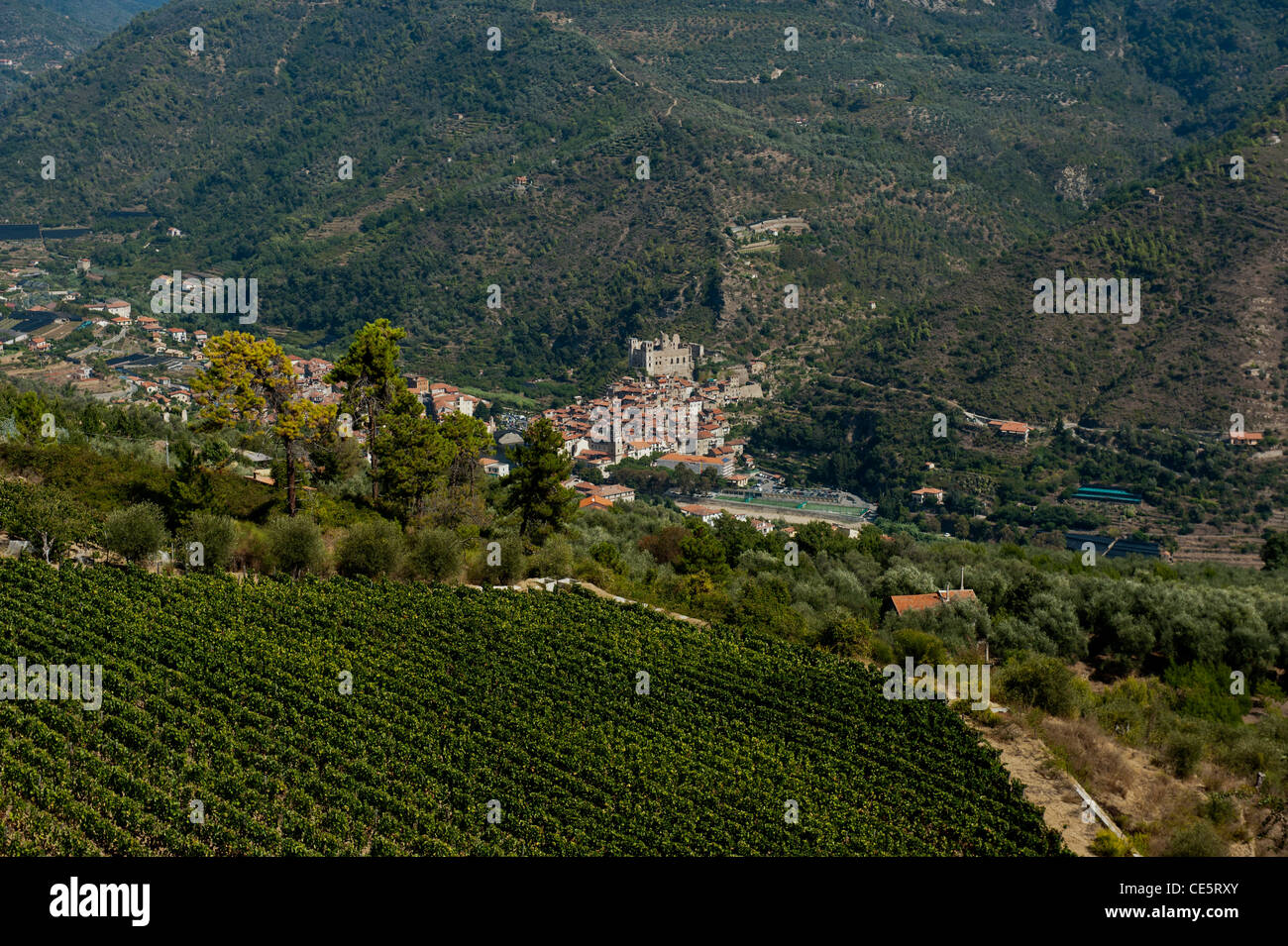 Dolceacqua am Fluss Nervia angesehen von Terre Bianche Vineyard Estate in der italienischen Region Ligurien Stockfoto