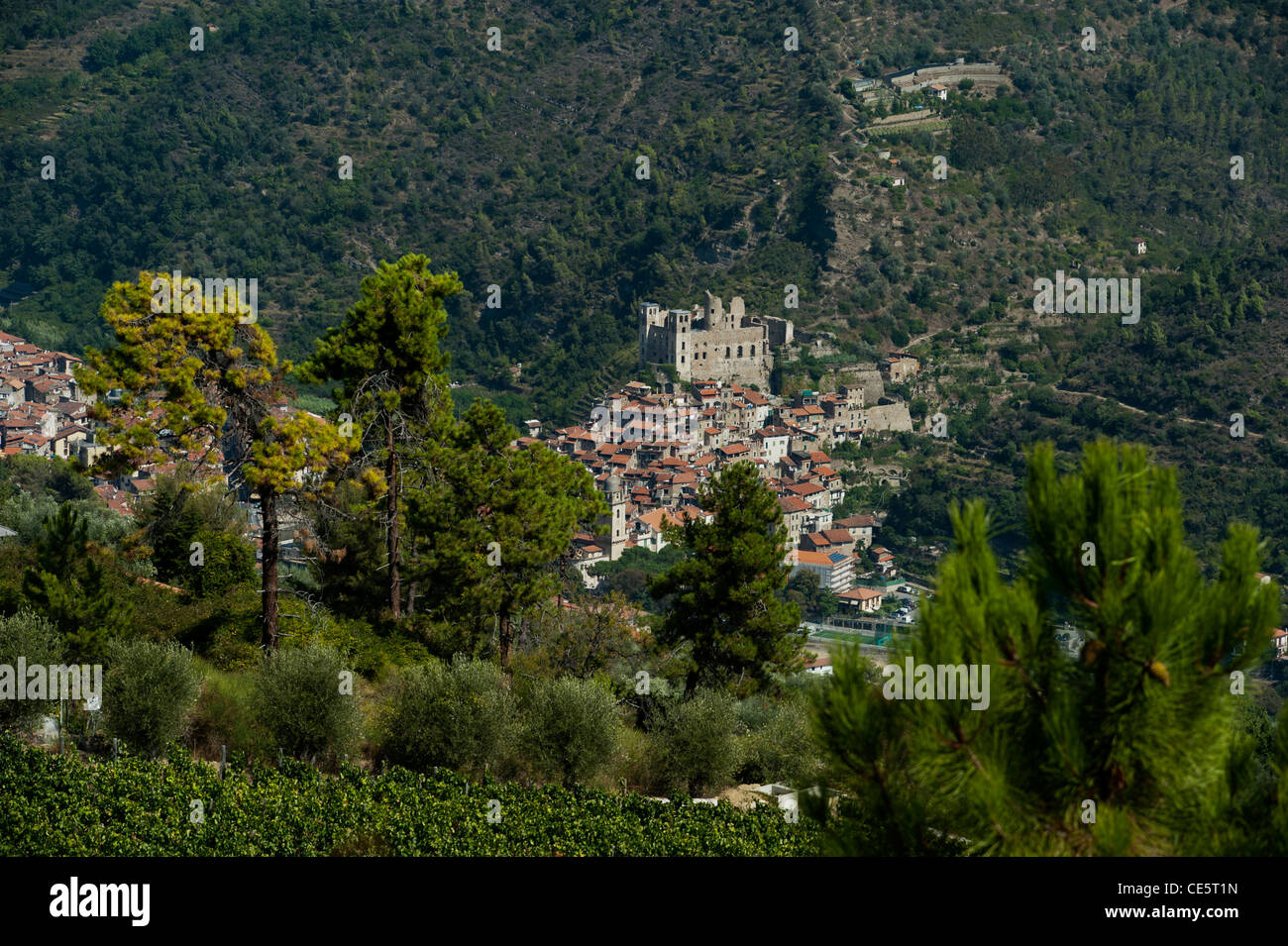 Dolceacqua am Fluss Nervia angesehen von Terre Bianche Vineyard Estate in der italienischen Region Ligurien Stockfoto