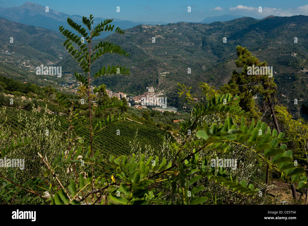 Dolceacqua am Fluss Nervia angesehen von Terre Bianche Vineyard Estate in der italienischen Region Ligurien Stockfoto