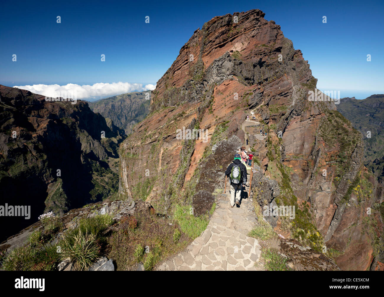 Die Insel Madeira, Portugal Stockfoto