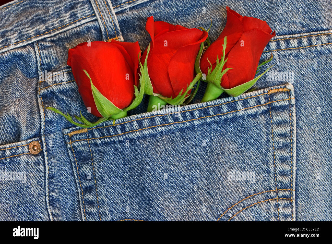 Rote Rosen in Blue Jeans-Tasche Stockfotografie - Alamy