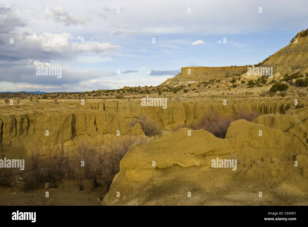 Trockenwäsche, Ojito Wildnis, Sandoval County, New Mexico, USA. Stockfoto