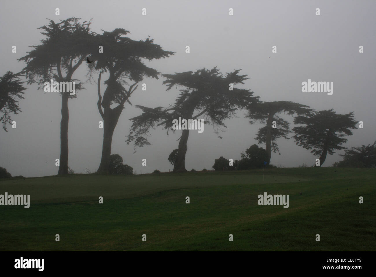 nebligen Tag Stockfoto