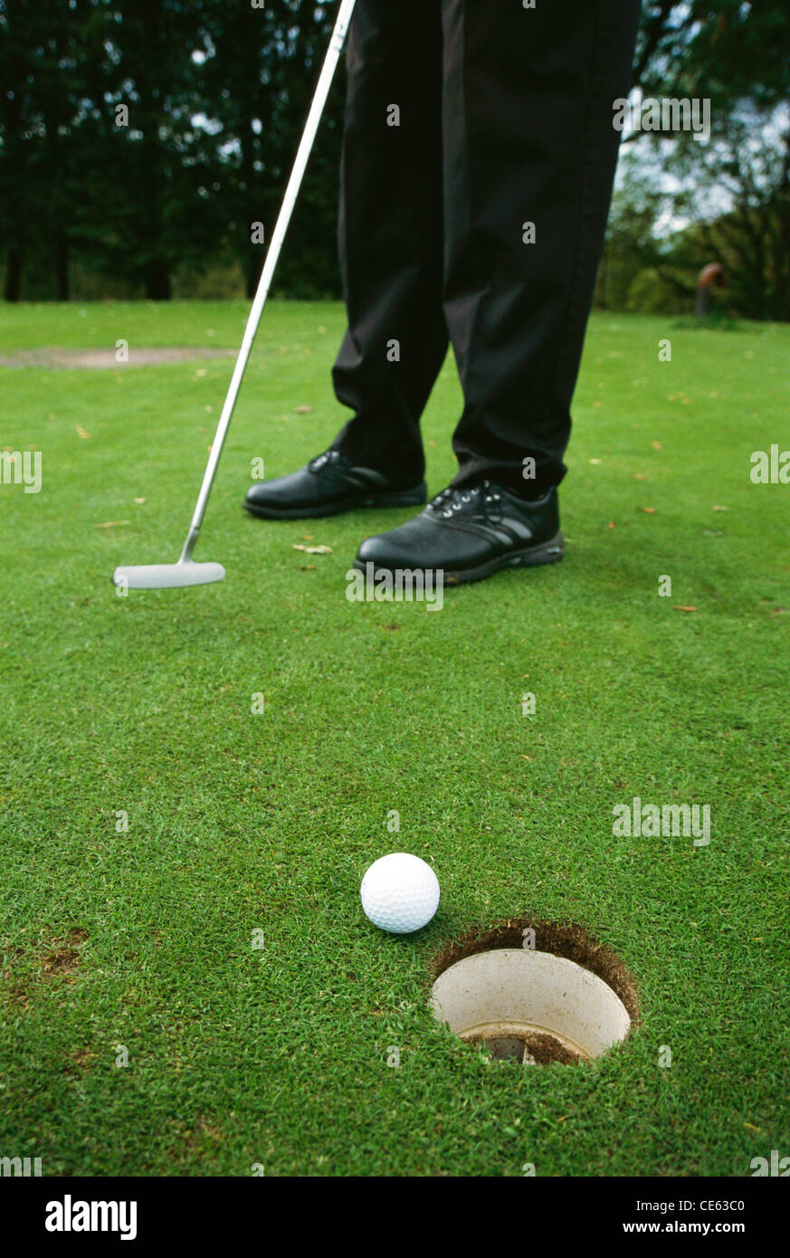 Golf-Spieler setzen weiße Kugel ins Loch Herr #524 Stockfoto