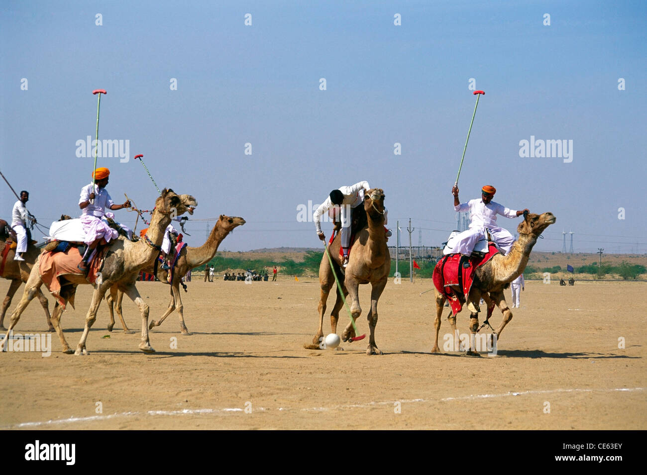 Kamel Polo in Desert Festival; Jaisalmer; Rajasthan; Indien Stockfoto
