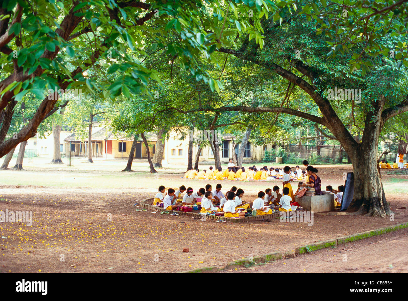Shanti Niketan; Kinder, die unter Bäumen studieren; Shantiniketan; Bolpur Stadt; Birbhum Bezirk; Kalkutta; Kolkata; Westbengalen; Indien; Asien Stockfoto