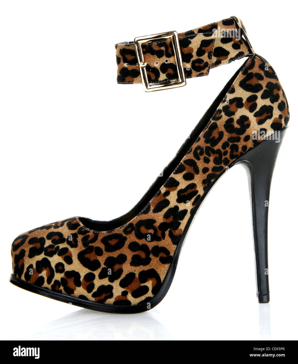 Leopard Print Schuh Stockfoto