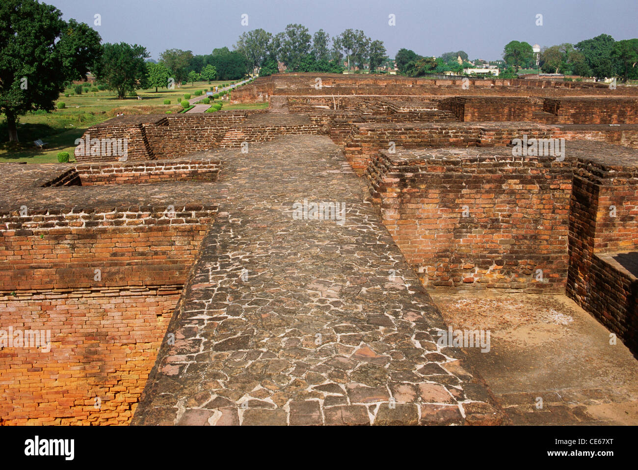 Luftaufnahme der Klöster; Universität von Nalanda Komplex; Nalanda; Bihar; Indien Stockfoto