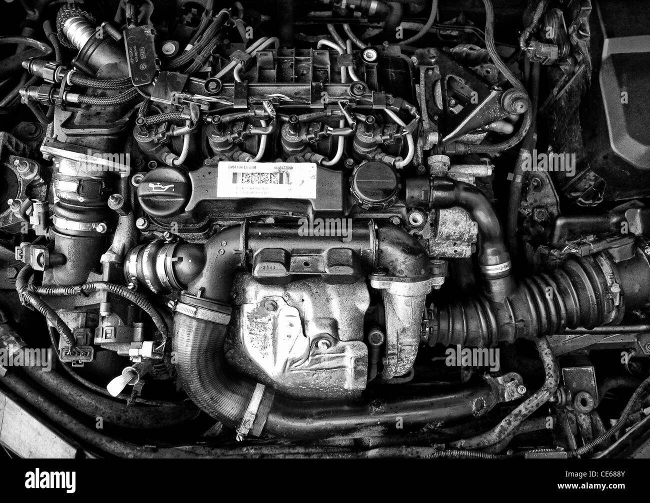 Unter der Haube der Motor des Ford Focus 1.6 TDCi diesel ...