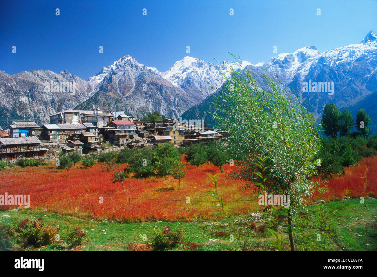 Kinnaur Kailash mit Kalpa Dorf; Himachal Pradesh; Indien
