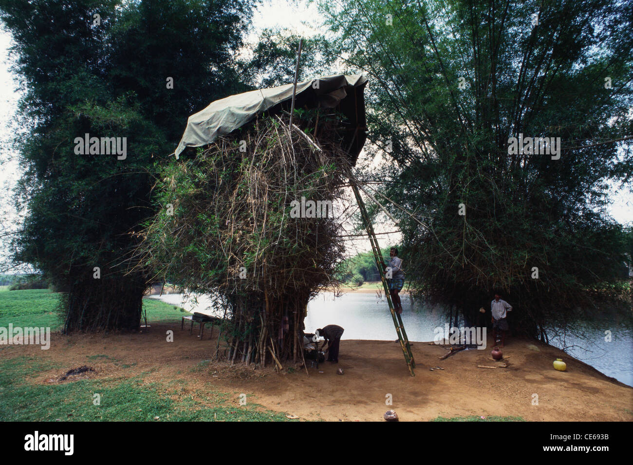 Anti Wilderei Wachturm auf Bambus Busch gebaut; Kasbani Fluss; Kabini Fluss; Kapila Fluss; Kabini; Wayanad Bezirk; Karnataka; Indien; Asien Stockfoto