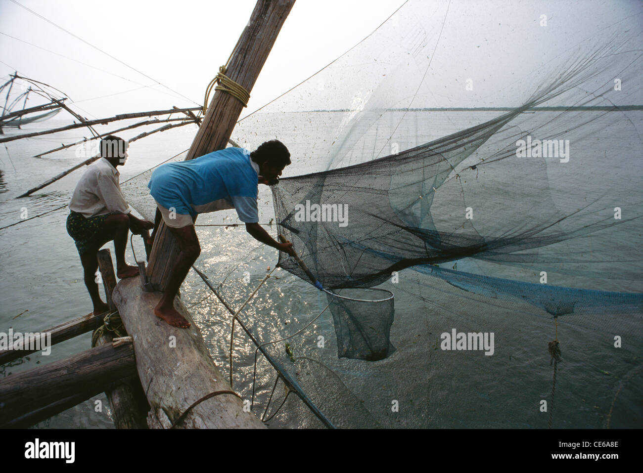 Fischfang mit chinesischem Fischernetz; landbetriebene Liftnetze; Cochin; Kochi; Kerala; Indien; Asien Stockfoto