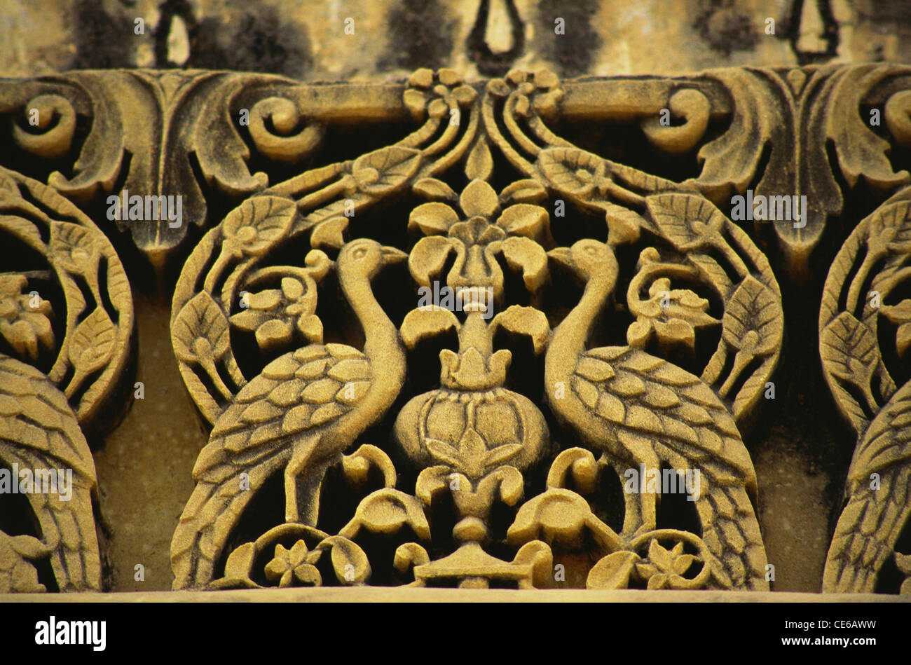 Pfau Vögel Relief Jali Grill Details aus Jawahar Vilas Palace; Jaisalmer; Rajasthan; Indien Stockfoto