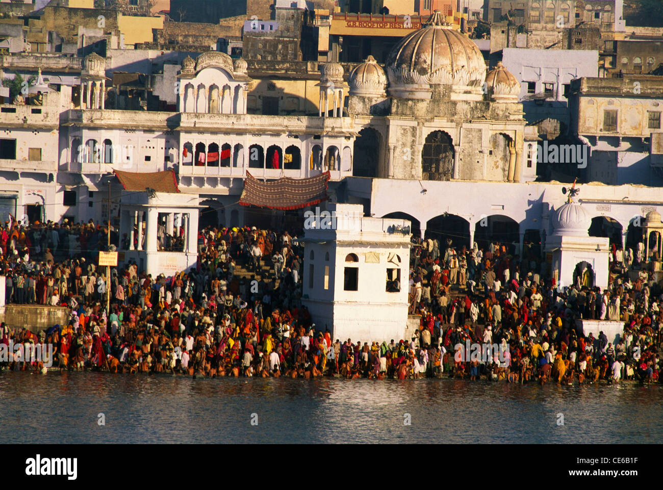 Pilger für heiligen Sprung in Pushkar Sarovar bei Gav Ghat auf Kartik Purnima; Pushkar See; Ajmer; Rajasthan; Indien; asien Stockfoto